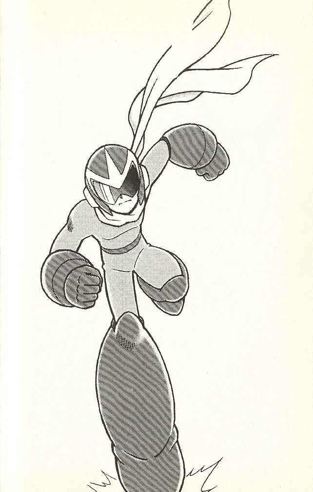 Page 30 Chapter 2 Mega Man & Bass