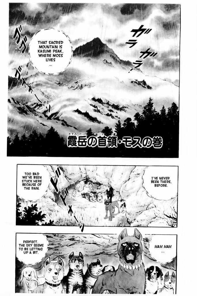 Page 11 Chapter 14 Silver Fang – The Shooting Star Gin –
