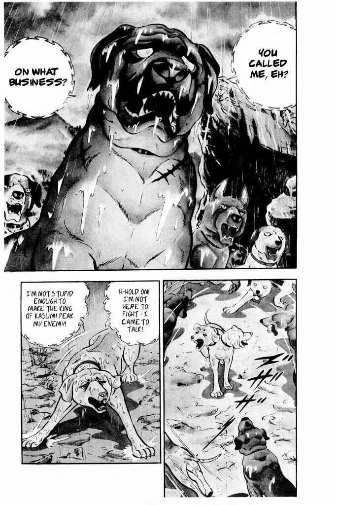 Page 16 Chapter 14 Silver Fang – The Shooting Star Gin –