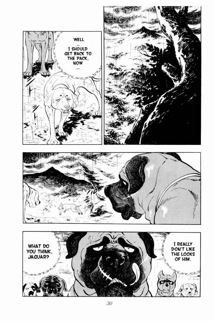 Page 32 Chapter 14 Silver Fang – The Shooting Star Gin –