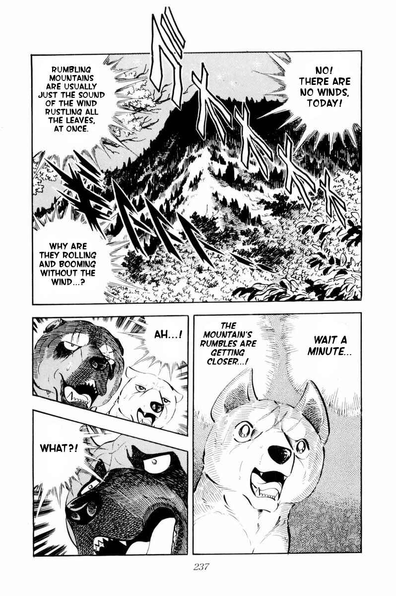 Page 16 Chapter 35 Silver Fang – The Shooting Star Gin –