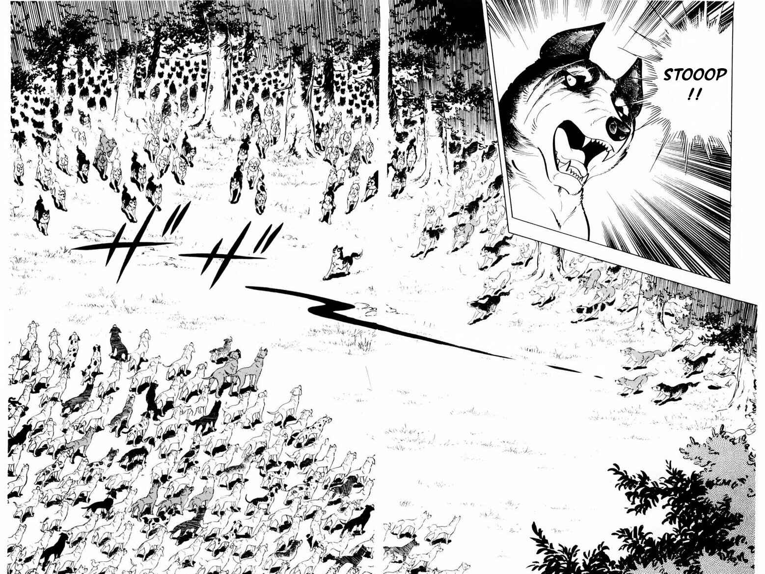 Page 19 Chapter 35 Silver Fang – The Shooting Star Gin –