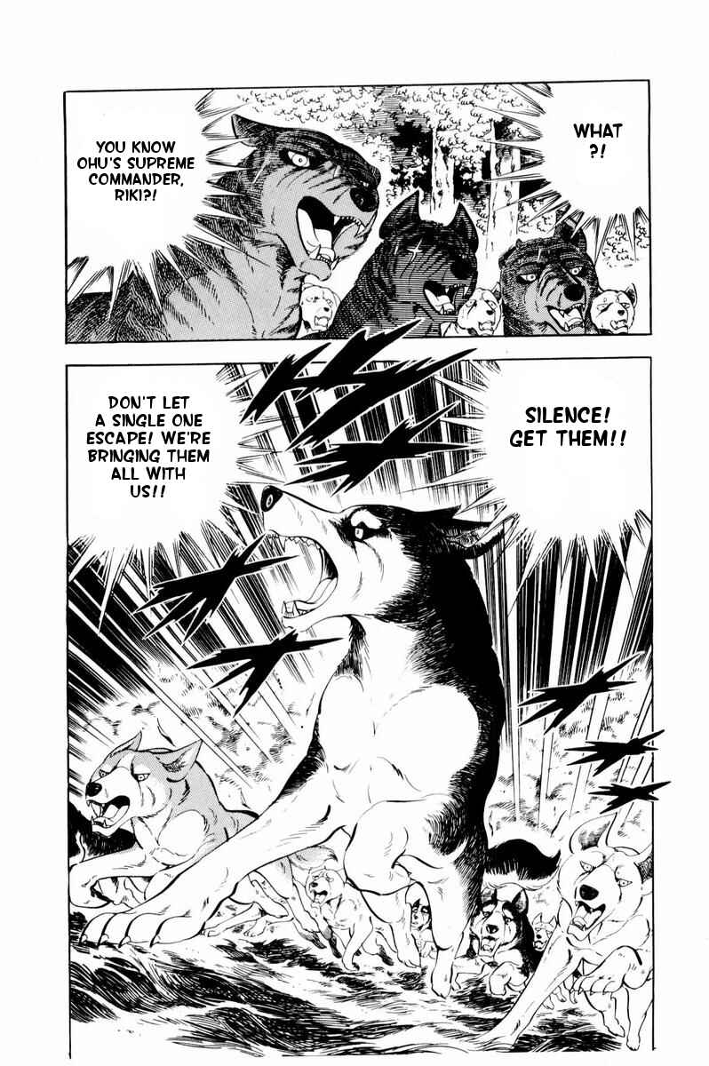 Page 22 Chapter 35 Silver Fang – The Shooting Star Gin –