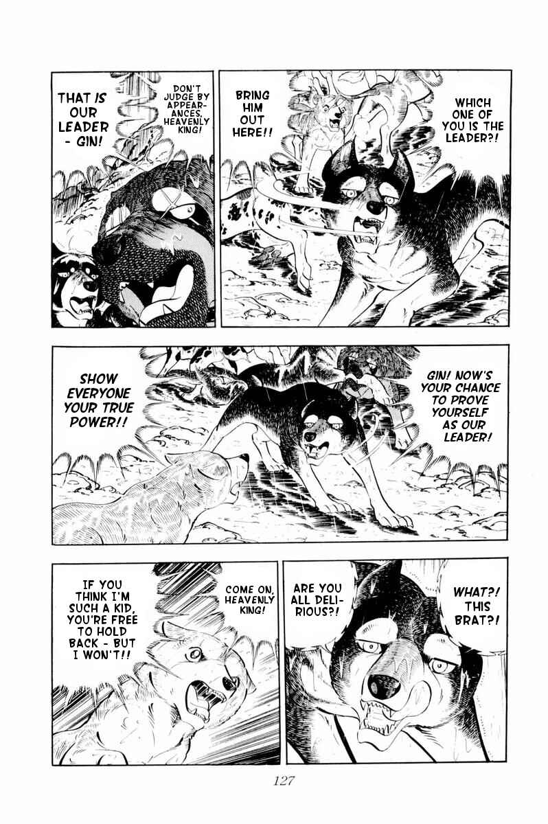 Page 21 Chapter 33 Silver Fang – The Shooting Star Gin –