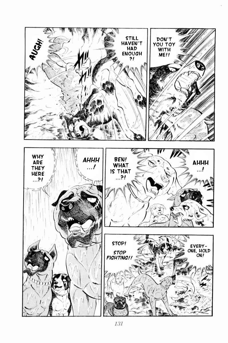 Page 25 Chapter 33 Silver Fang – The Shooting Star Gin –