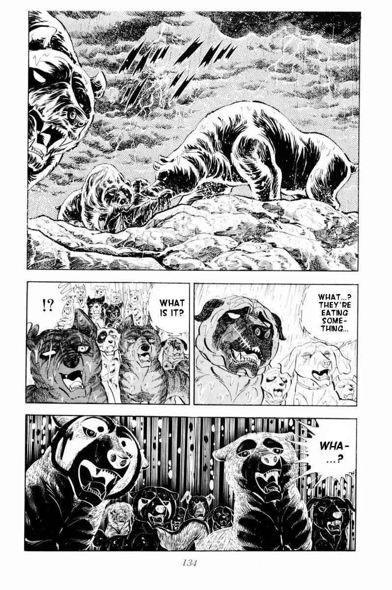 Page 28 Chapter 33 Silver Fang – The Shooting Star Gin –