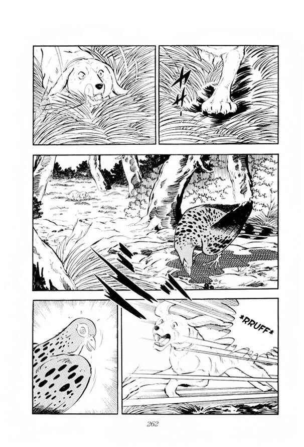 Page 21 Chapter 12 Silver Fang – The Shooting Star Gin –
