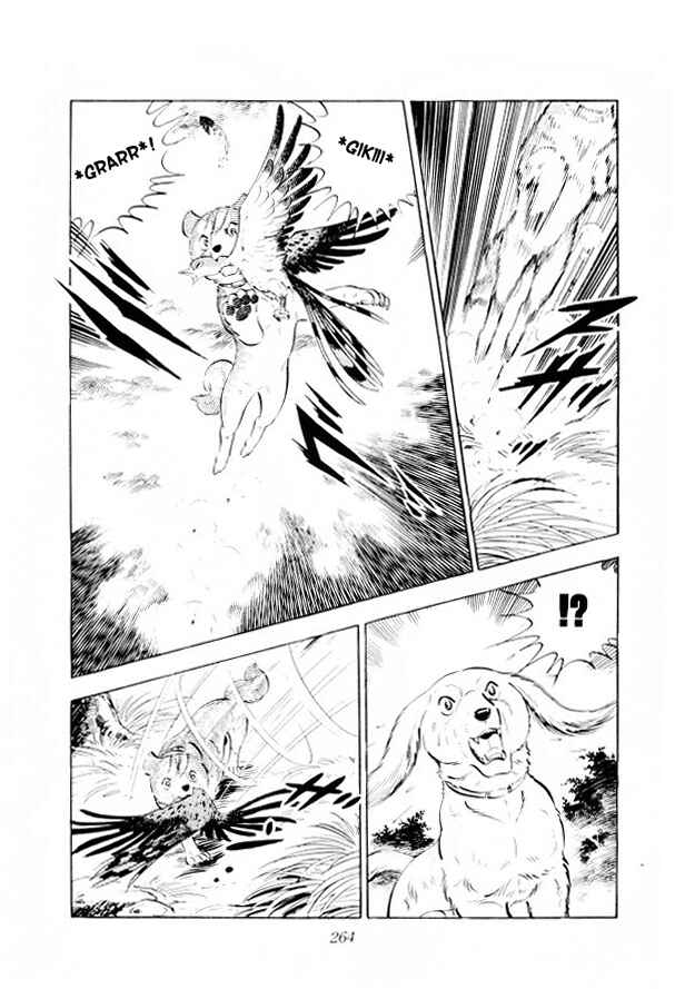 Page 23 Chapter 12 Silver Fang – The Shooting Star Gin –