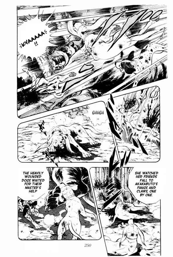 Page 9 Chapter 12 Silver Fang – The Shooting Star Gin –