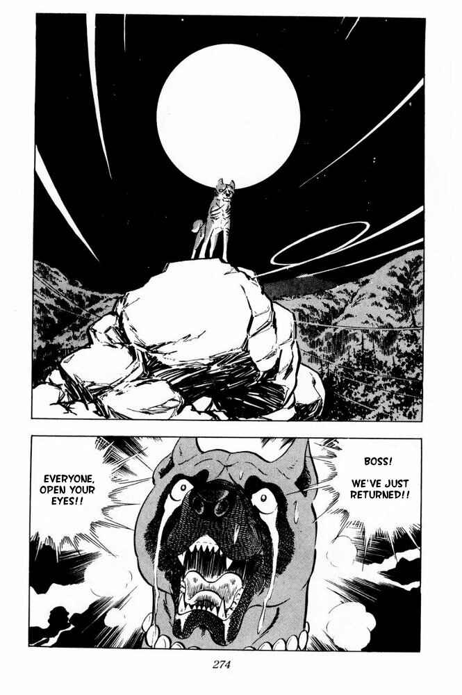 Page 12 Chapter 36 Silver Fang – The Shooting Star Gin –