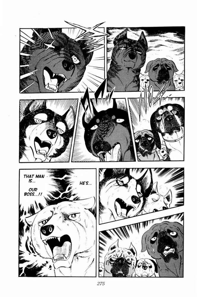 Page 13 Chapter 36 Silver Fang – The Shooting Star Gin –