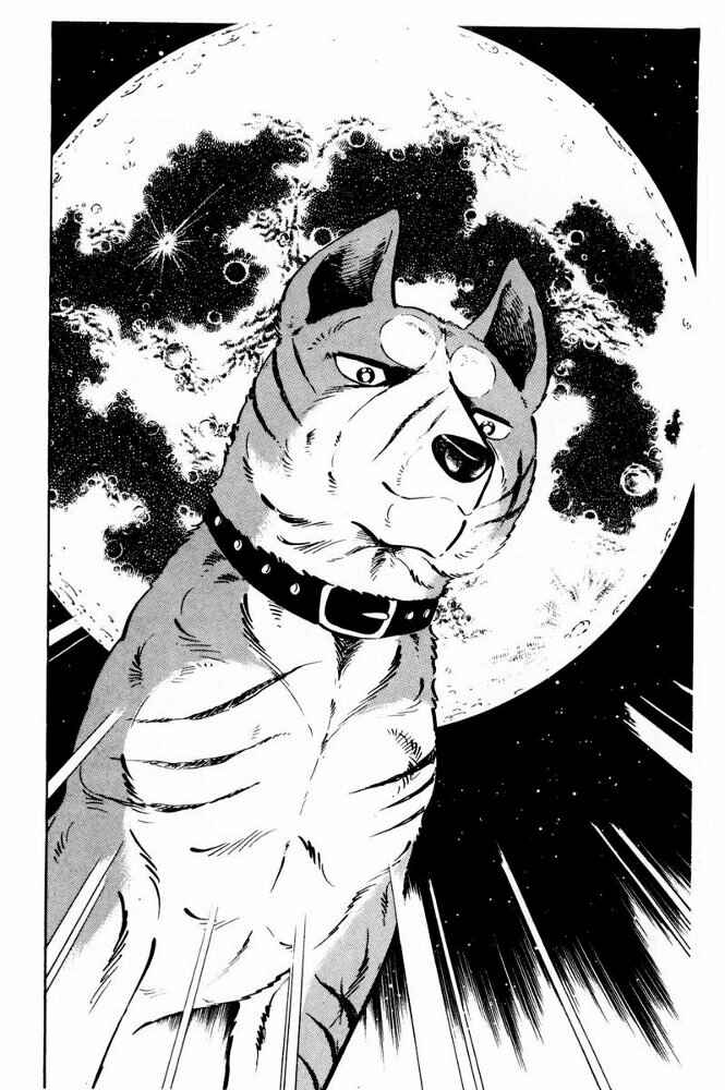 Page 14 Chapter 36 Silver Fang – The Shooting Star Gin –
