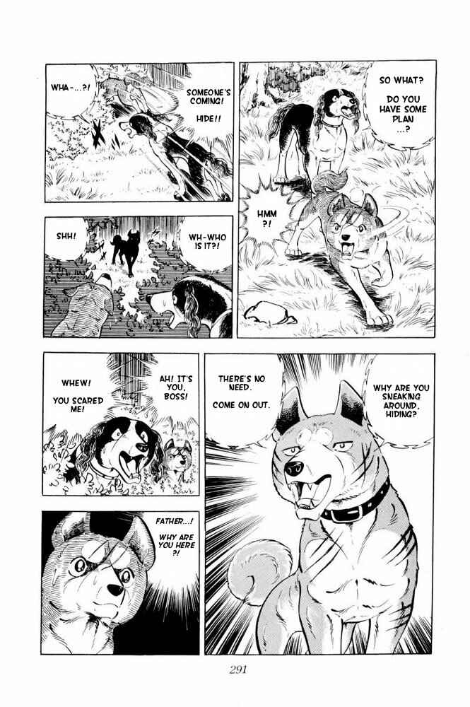 Page 29 Chapter 36 Silver Fang – The Shooting Star Gin –