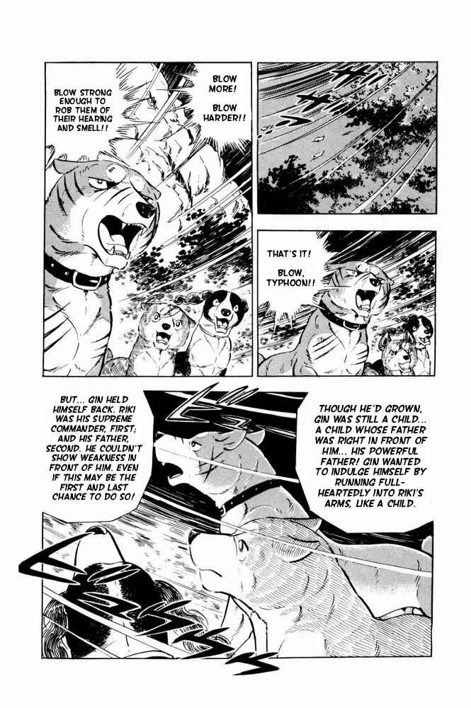 Page 33 Chapter 36 Silver Fang – The Shooting Star Gin –