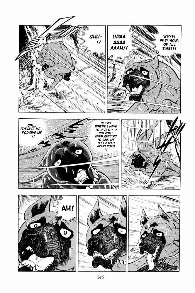 Page 82 Chapter 36 Silver Fang – The Shooting Star Gin –