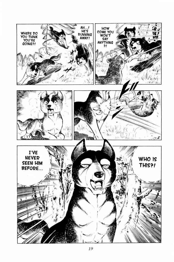 Page 20 Chapter 31 Silver Fang – The Shooting Star Gin –