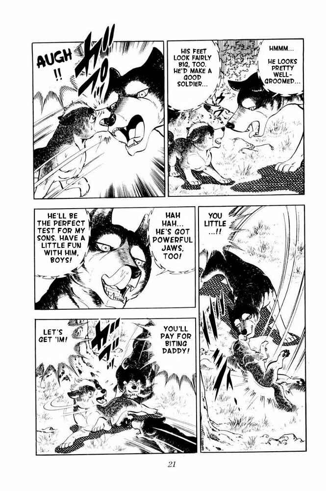 Page 22 Chapter 31 Silver Fang – The Shooting Star Gin –
