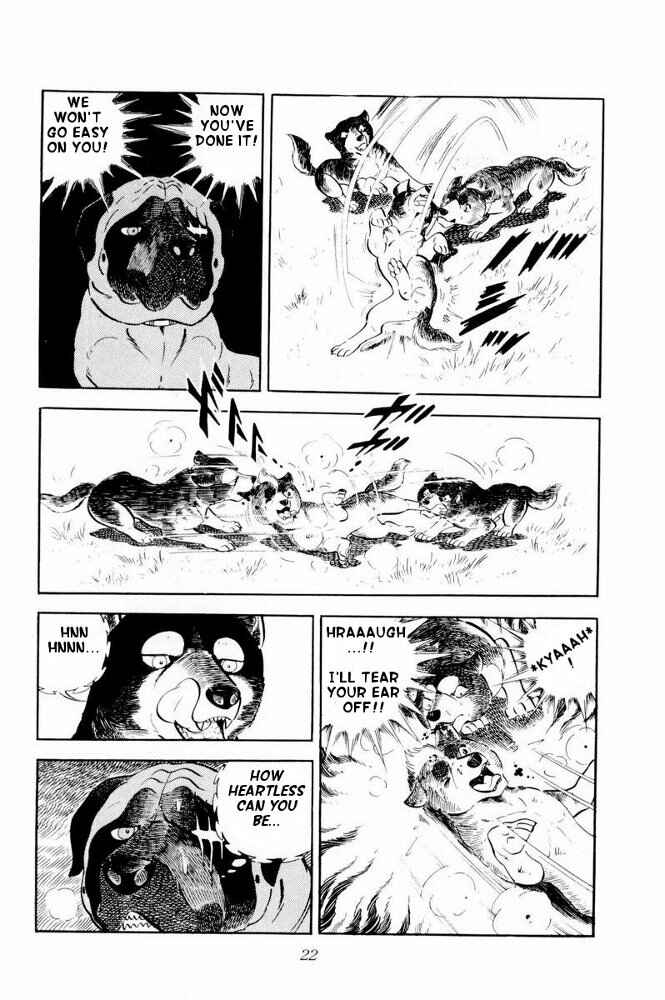 Page 23 Chapter 31 Silver Fang – The Shooting Star Gin –
