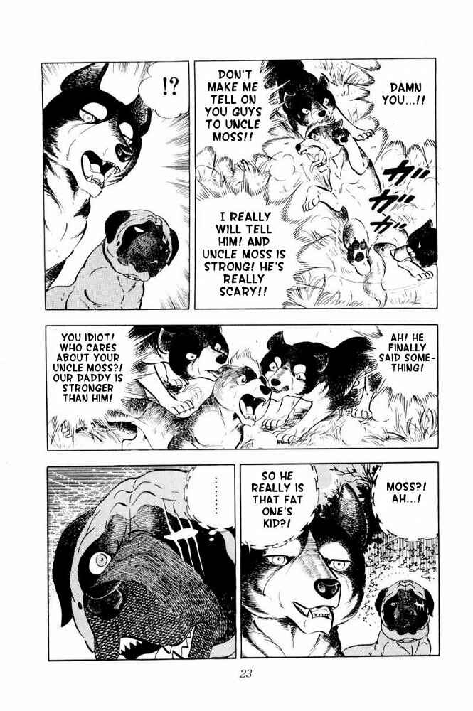 Page 24 Chapter 31 Silver Fang – The Shooting Star Gin –
