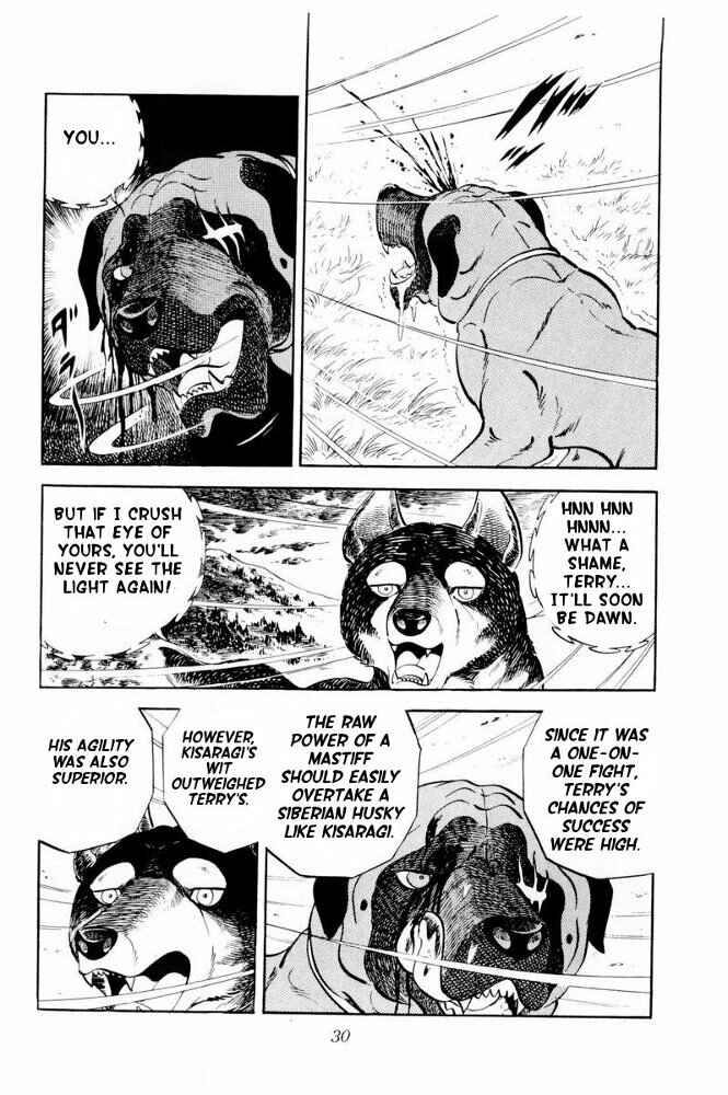Page 30 Chapter 31 Silver Fang – The Shooting Star Gin –
