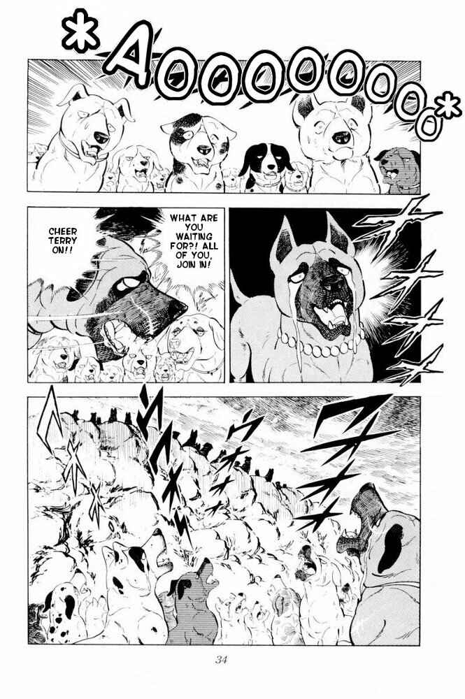 Page 34 Chapter 31 Silver Fang – The Shooting Star Gin –