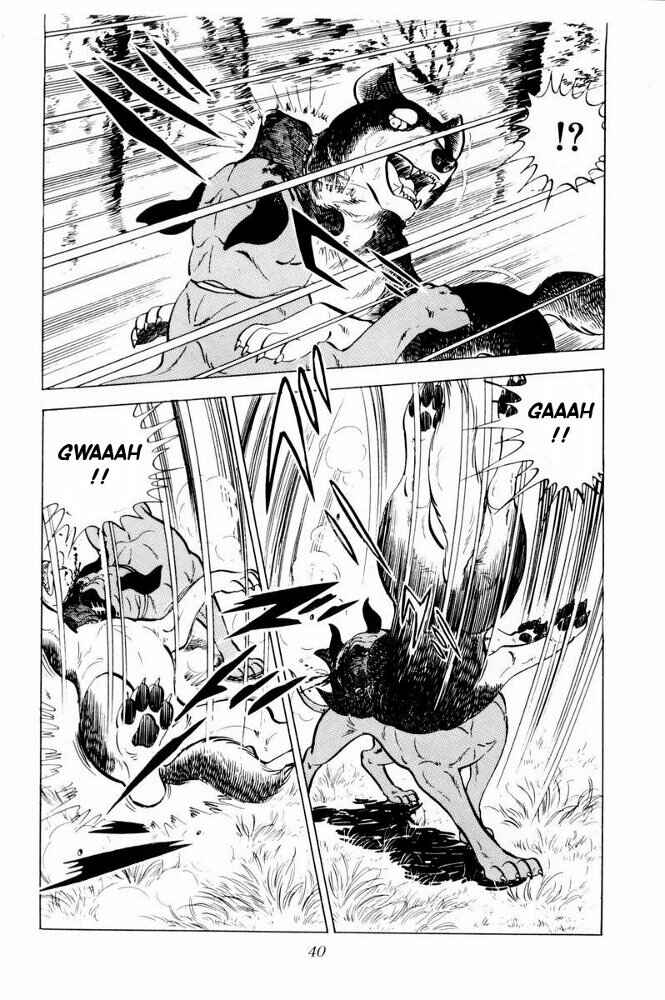 Page 40 Chapter 31 Silver Fang – The Shooting Star Gin –