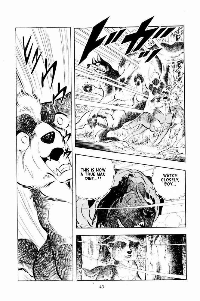 Page 43 Chapter 31 Silver Fang – The Shooting Star Gin –