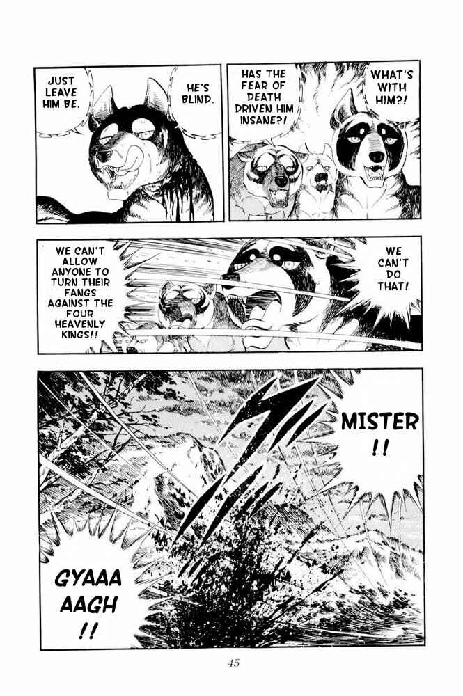Page 45 Chapter 31 Silver Fang – The Shooting Star Gin –