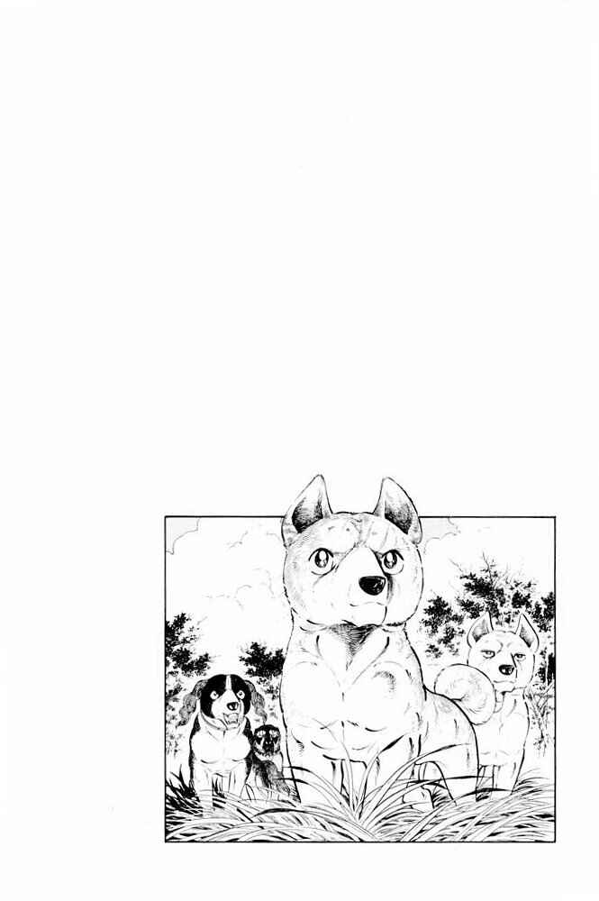 Page 46 Chapter 31 Silver Fang – The Shooting Star Gin –