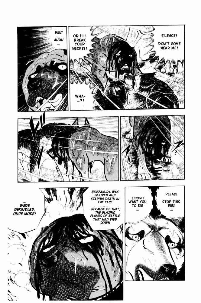 Page 11 Chapter 39 Silver Fang – The Shooting Star Gin –