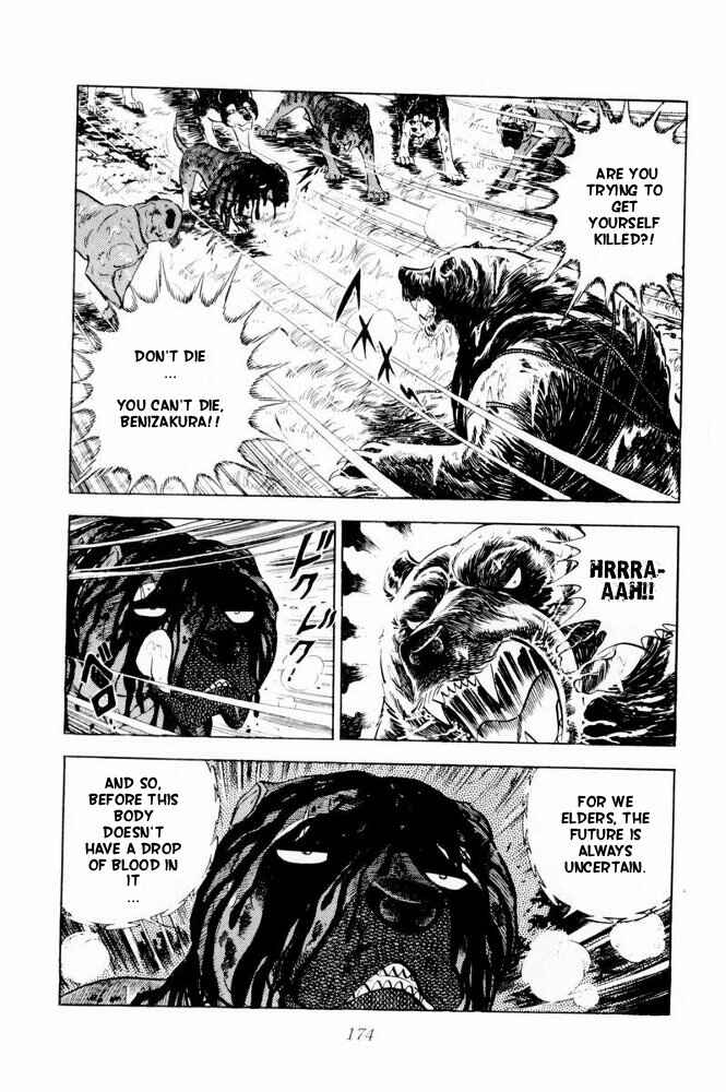 Page 31 Chapter 39 Silver Fang – The Shooting Star Gin –