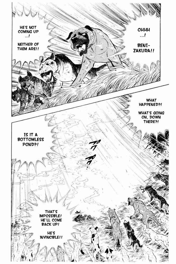 Page 39 Chapter 39 Silver Fang – The Shooting Star Gin –
