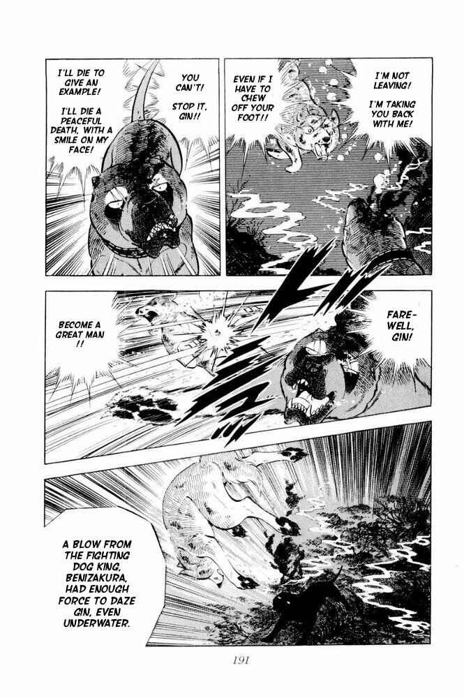 Page 48 Chapter 39 Silver Fang – The Shooting Star Gin –