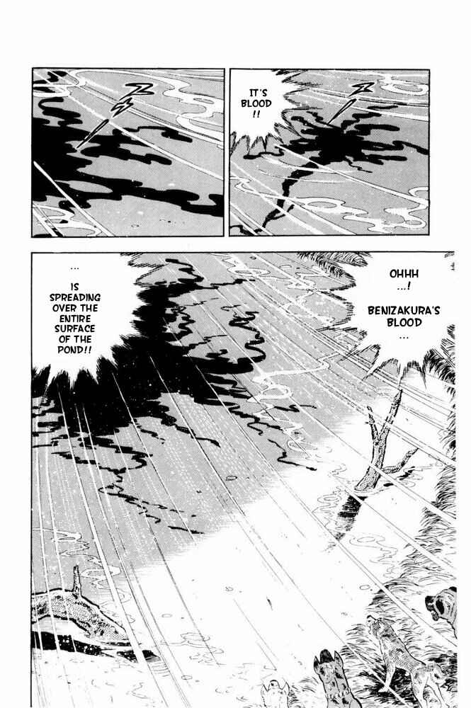 Page 53 Chapter 39 Silver Fang – The Shooting Star Gin –