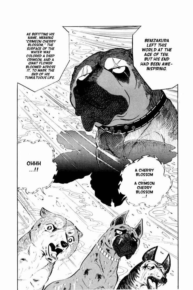 Page 54 Chapter 39 Silver Fang – The Shooting Star Gin –