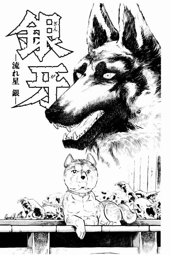 Page 10 Chapter 7 Silver Fang – The Shooting Star Gin –