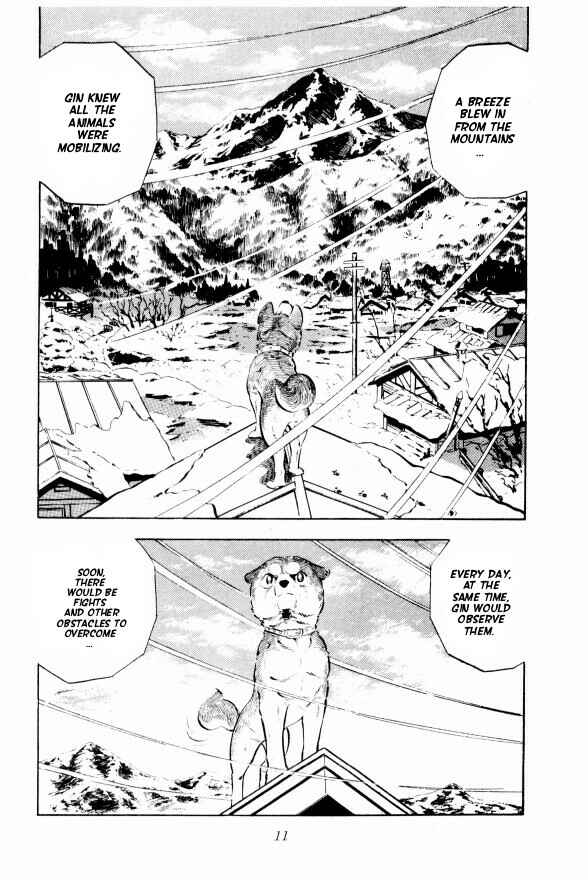 Page 16 Chapter 7 Silver Fang – The Shooting Star Gin –