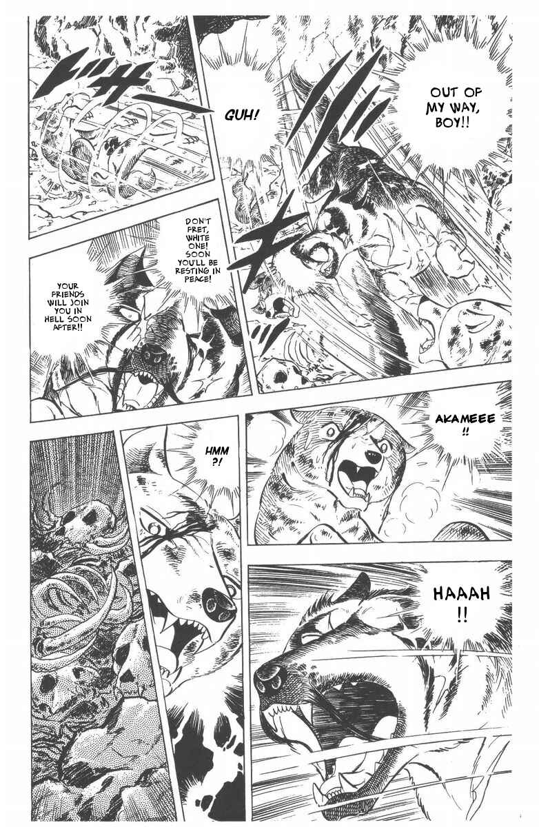 Page 41 Chapter 46 Silver Fang – The Shooting Star Gin –