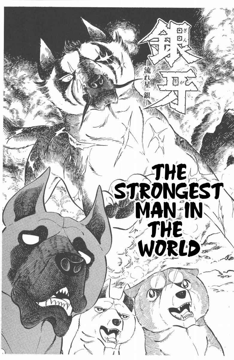 Page 8 Chapter 46 Silver Fang – The Shooting Star Gin –