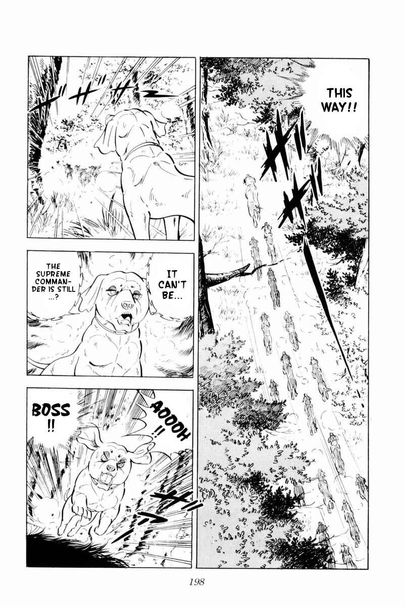 Page 12 Chapter 29 Silver Fang – The Shooting Star Gin –