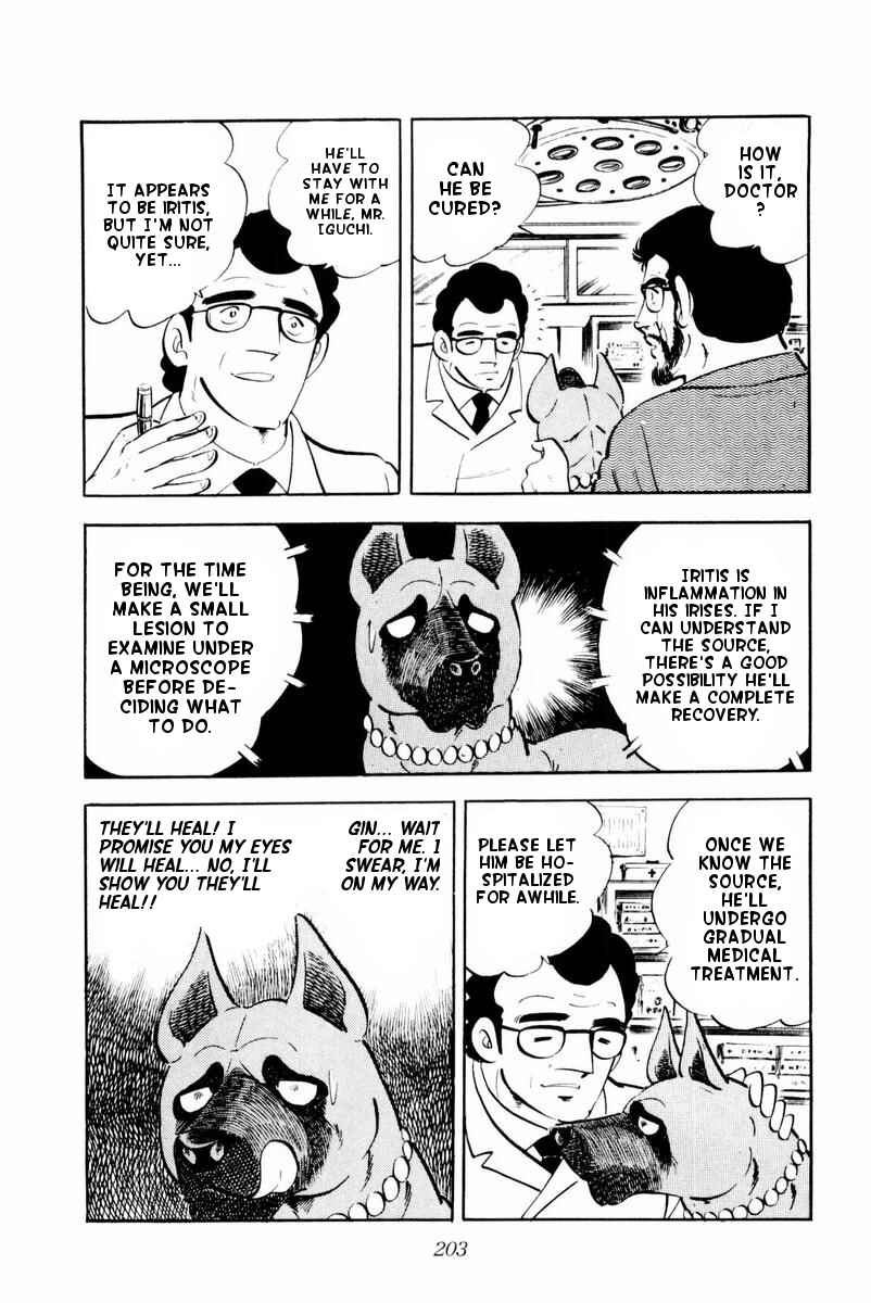 Page 17 Chapter 29 Silver Fang – The Shooting Star Gin –