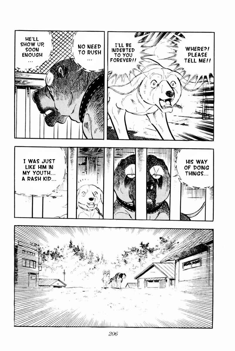 Page 20 Chapter 29 Silver Fang – The Shooting Star Gin –