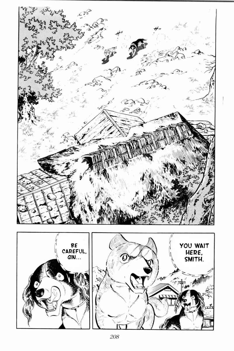 Page 22 Chapter 29 Silver Fang – The Shooting Star Gin –