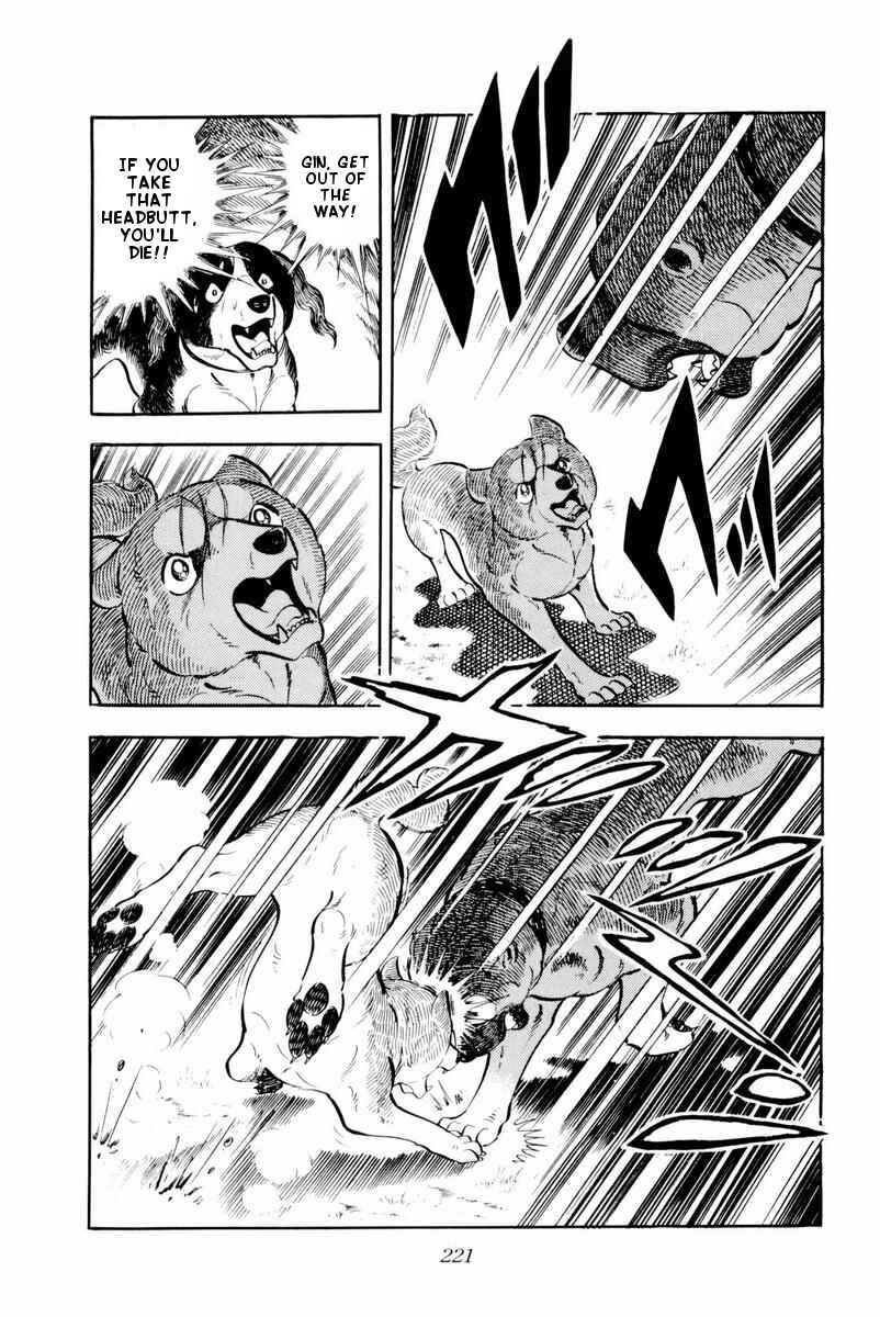 Page 35 Chapter 29 Silver Fang – The Shooting Star Gin –