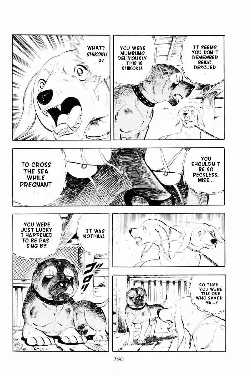 Page 4 Chapter 29 Silver Fang – The Shooting Star Gin –