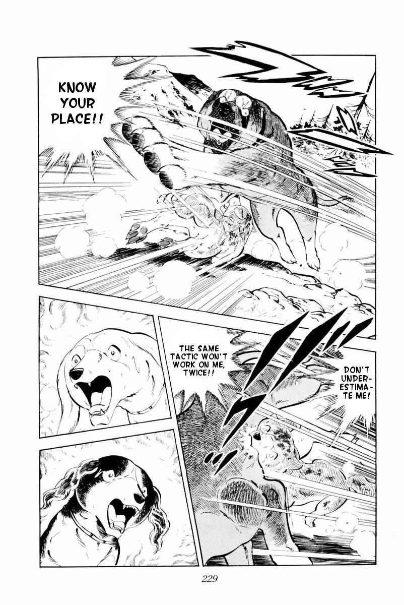 Page 43 Chapter 29 Silver Fang – The Shooting Star Gin –