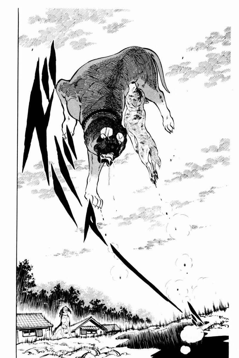 Page 44 Chapter 29 Silver Fang – The Shooting Star Gin –