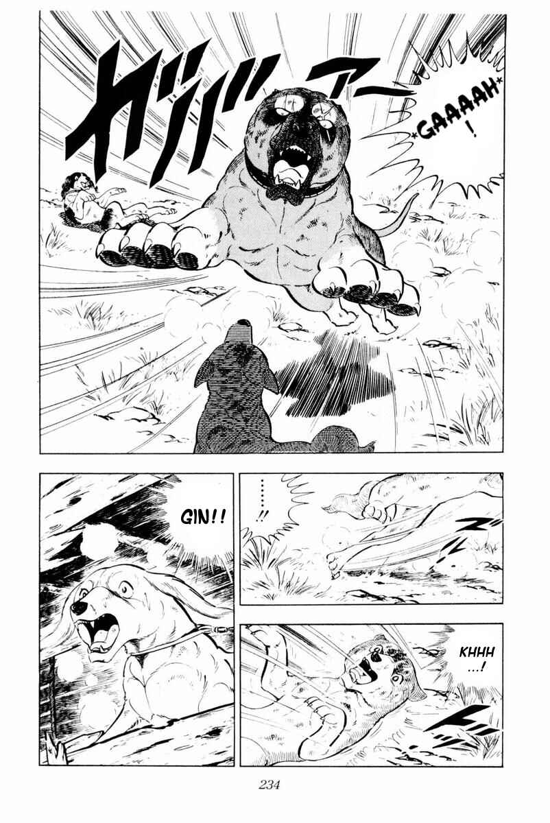 Page 48 Chapter 29 Silver Fang – The Shooting Star Gin –