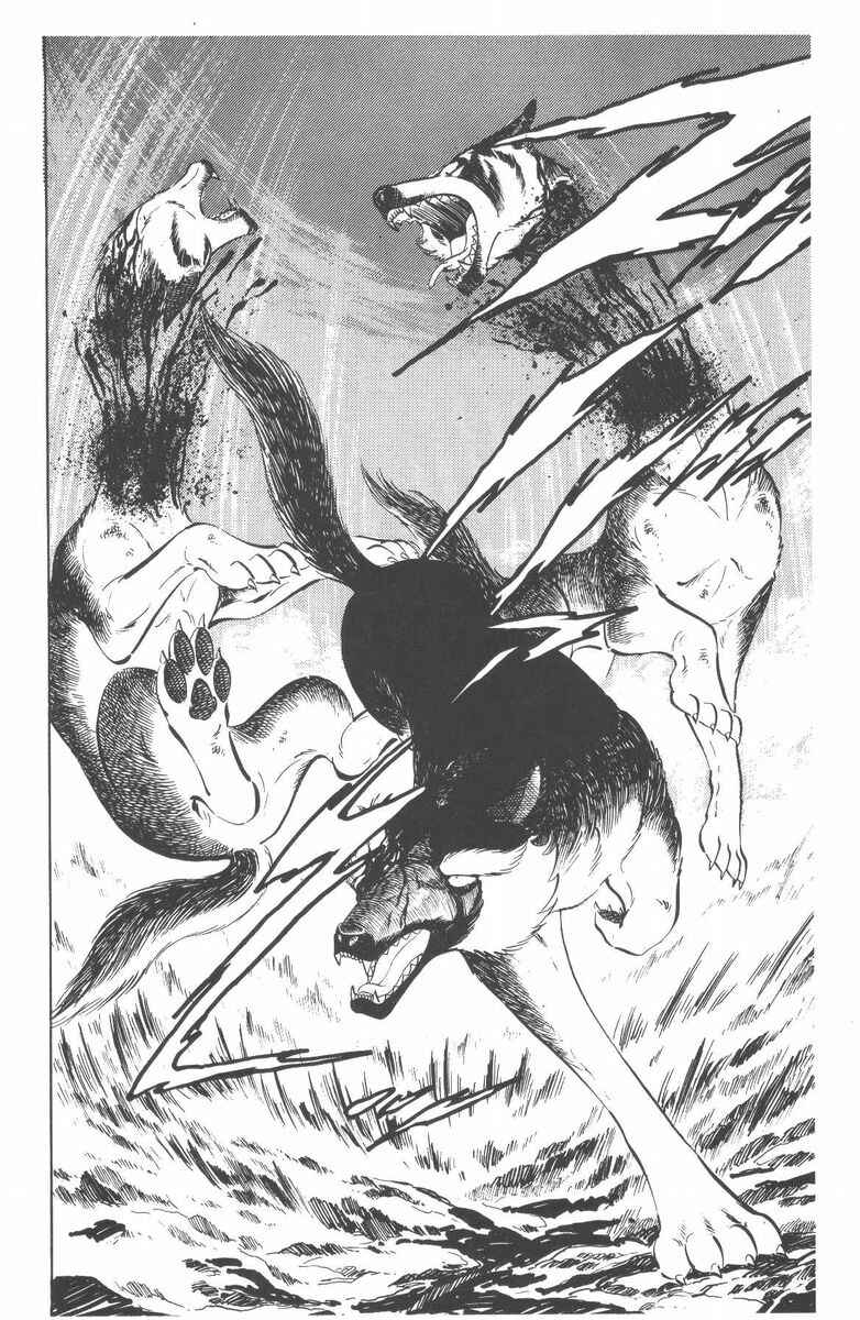 Page 20 Chapter 53 Silver Fang – The Shooting Star Gin –