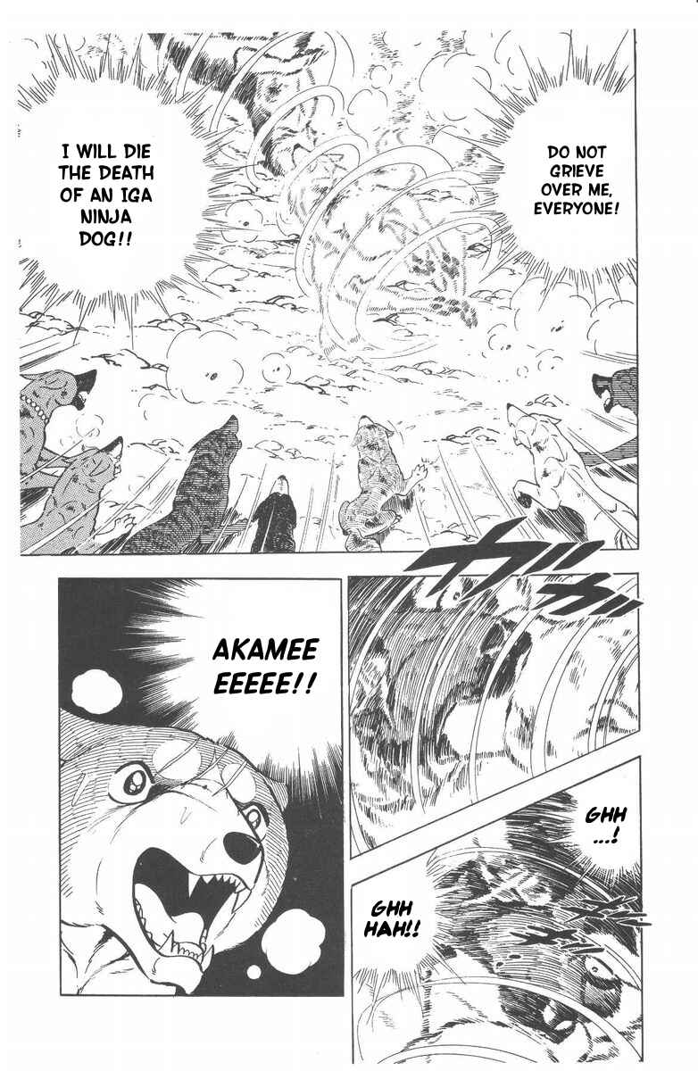 Page 44 Chapter 53 Silver Fang – The Shooting Star Gin –